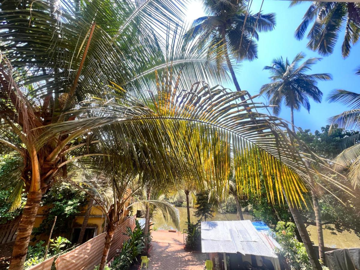 Kyel Villa Guest House Arambol Exteriör bild